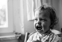 Ranní soutěž o nejhlasitějšího tygra