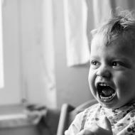 Ranní soutěž o nejhlasitějšího tygra