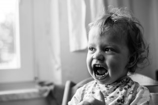 Ranní soutěž o nejhlasitějšího tygra