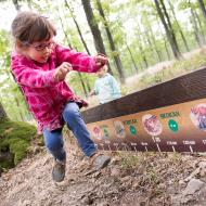 Aspoň toho skokana musím trumfnout!