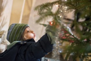 Vánoční stromečky Radovánka přitahují
