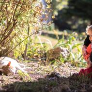 Neutuchající fascinace kocourem Tondou