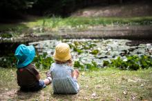Krásné jezírko s lekníny a se spoustou fascinujícího vodního hmyzu jen pár metrů od magistrály v naší oboře!