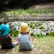 Krásné jezírko s lekníny a se spoustou fascinujícího vodního hmyzu jen pár metrů od magistrály v naší oboře!