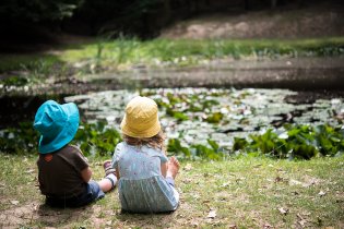 Krásné jezírko s lekníny a se spoustou fascinujícího vodního hmyzu jen pár metrů od magistrály v naší oboře!