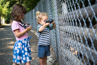 Milá prasátka, teď se vám pořádně podíváme na zoubek