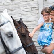 Popelka a koně, kteří ji přivezli na královský bál