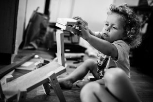 Náš dový domácí mazlíček