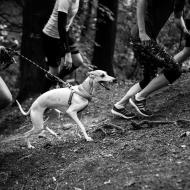 Běh pro Hospic, terénní část absolvovali všichni doslova s vyplazeným jazykem