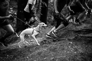 Běh pro Hospic, terénní část absolvovali všichni doslova s vyplazeným jazykem