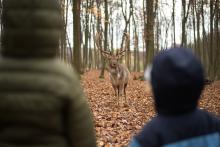 S dovolením, já se mezi vámi jen tak protáhnu...