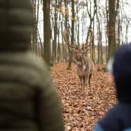 S dovolením, já se mezi vámi jen tak protáhnu...
