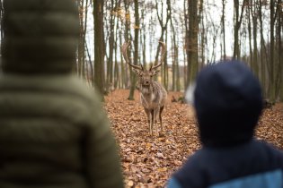 S dovolením, já se mezi vámi jen tak protáhnu...