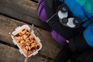 Svačina na rozhledně