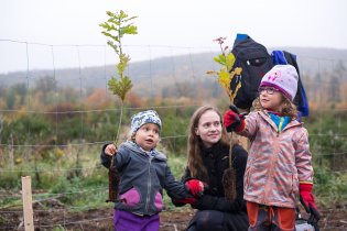 Sázíme lesy nové generace, kvůli obrovské účasti měl nakonec každý brigádník nárok jen na jednu sazeničku