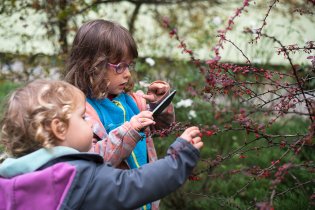 Verunka aktuálně ujíždí na mobilní appce PlantNet na rozpoznávání rostlin
