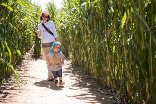 Po dvou letech opět v kukuřičném bludišti, a opět ve třicetistupňovém vedru