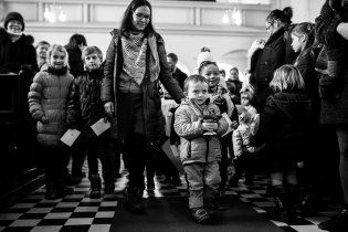 Tak co, donesou to kluci vcelku?