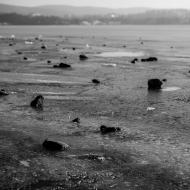 Nová sněhová rolba na přehradě své využití letos opět nenašla, tak třeba příště...