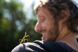 Koho jiného potkat cestou ze mše, než někoho nábožného - třeba kudlanku