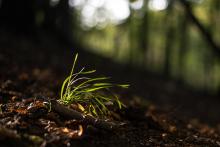 Podzimní sluníčko umí