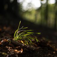 Podzimní sluníčko umí