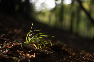 Podzimní sluníčko umí