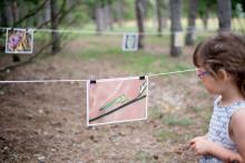 Soutěžíme na Dni pro Kamenný vrch