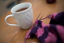 Pohoda s jehlicemi na návštěvě u Káji