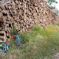 Hromada dřeva dlouhá jak Lovosice