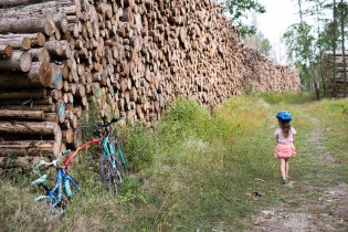 Hromada dřeva dlouhá jak Lovosice