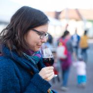 Komínské vinobraní