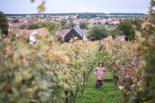 To je práce před námi!