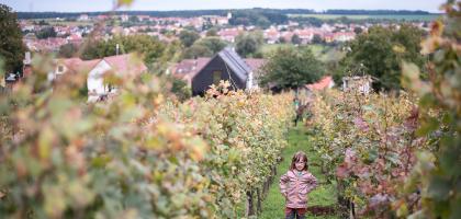 5. víkend v září 2019