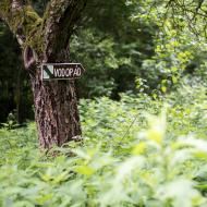 Vodopád - a skutečně tekl!