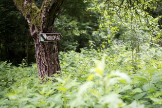 Vodopád - a skutečně tekl!