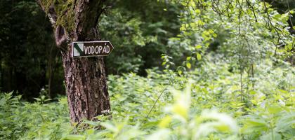 1. víkend v červnu 2020