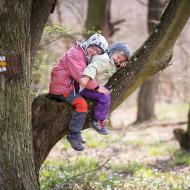 Odpočívadlo pro lenochody