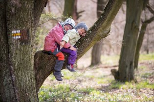 Odpočívadlo pro lenochody