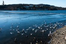 Věřili byste, že to není u moře?