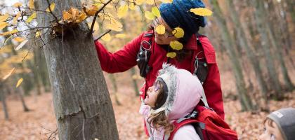 1. víkend v listopadu 2020