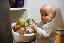 Když je doma dlouhé podezřelé ticho, Vikiho většinou najdeme u zeleniny :-)