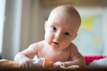 Tak co, pasu přesně podle příruček?