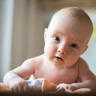 Tak co, pasu přesně podle příruček?