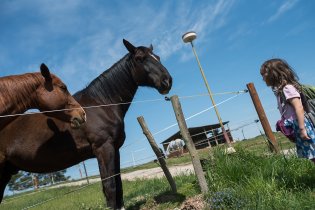 Blízké mezidruhové setkání