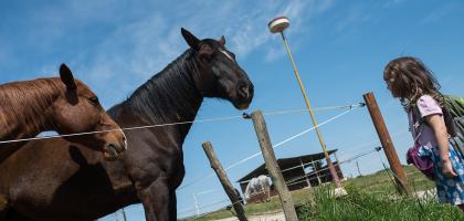 2. víkend v květnu 2020