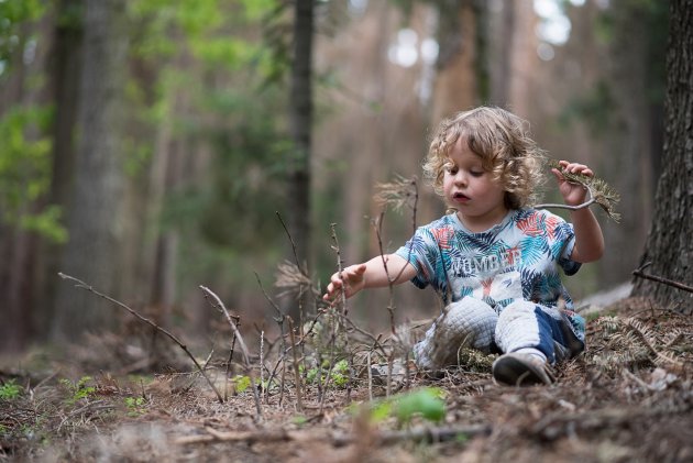 Stromů z Lega už pokácel pořádnou hromadu. Teď náš harvestor zatoužil po real life experience