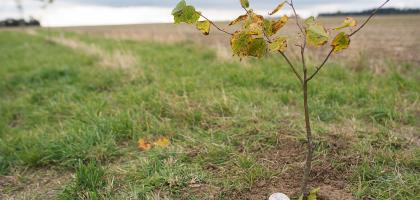 2. víkend v říjnu 2020