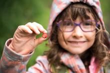 Výlet ve znamení lesních jahůdek