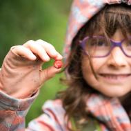 Výlet ve znamení lesních jahůdek